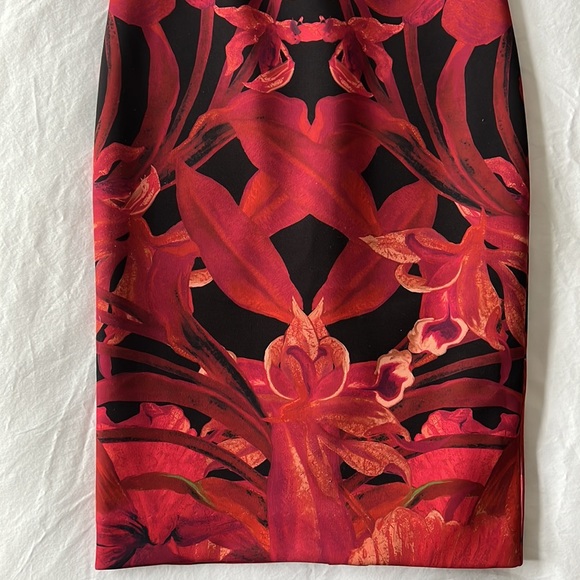 Ted Baker midi sheath dress, Size 0, Bold red floral print - Picture 8 of 11